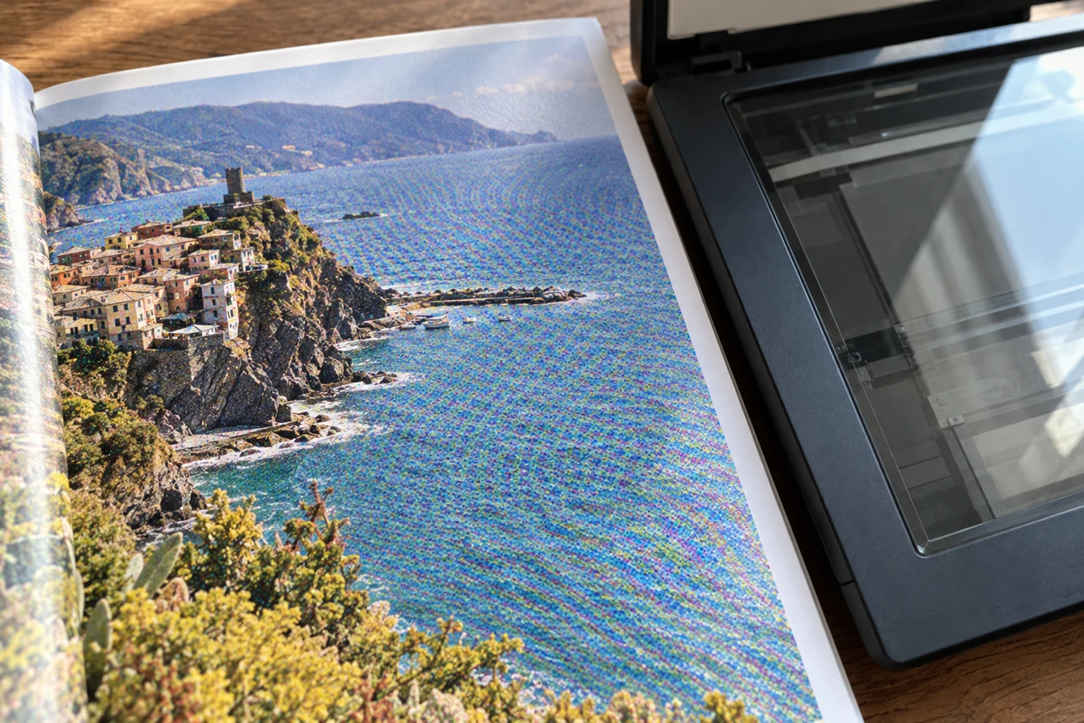 Printed photograph with coarse halftone dots and colored interference