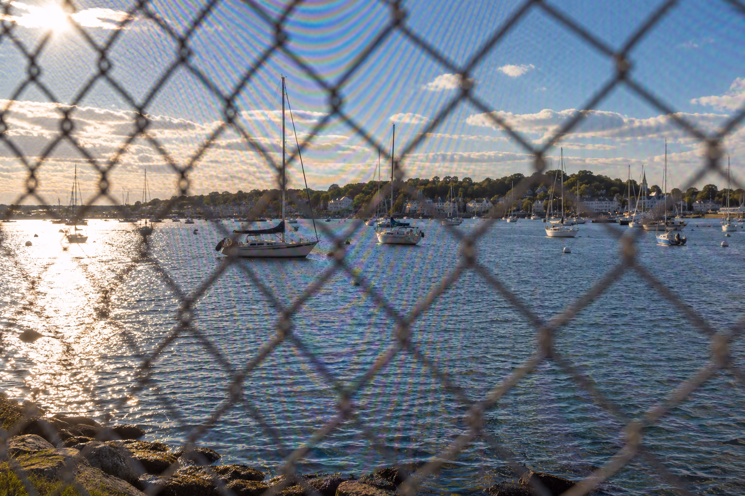 Remove interference from fences and mesh before enhancement
